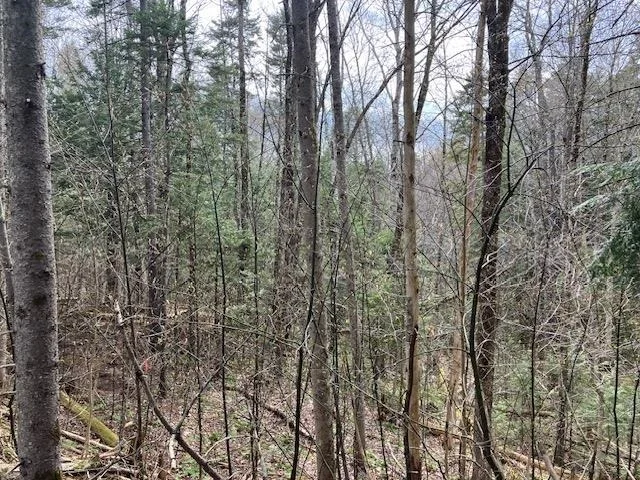 Unit for sale at 123 High Top, Wilmington, VT 05363