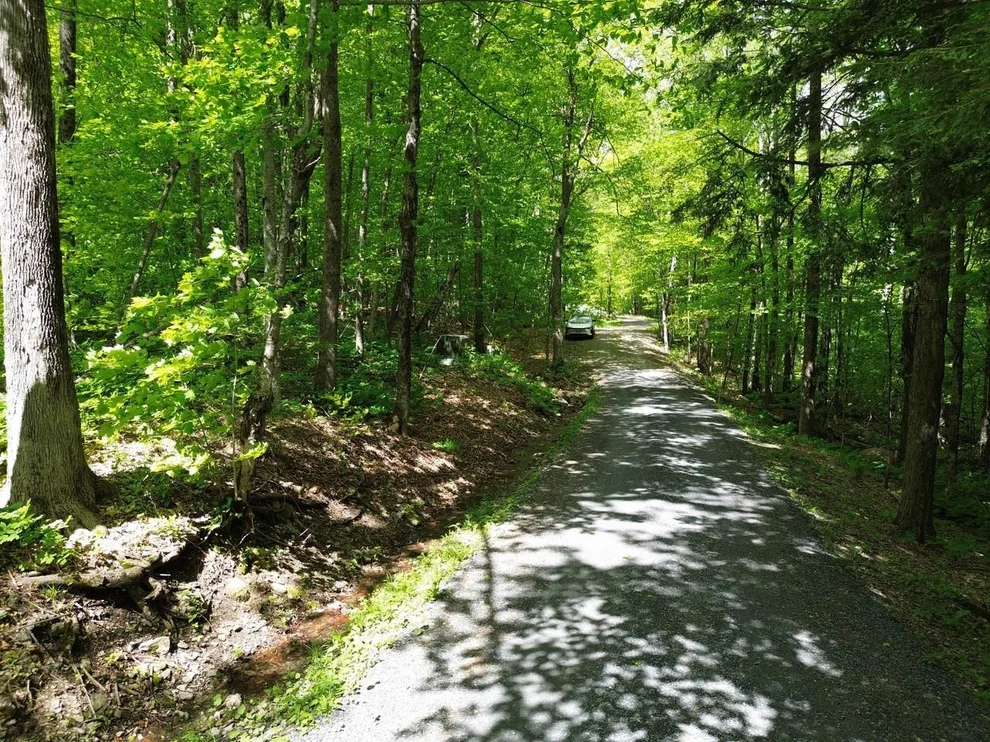 Unit for sale at 197 Sugar Ledge, Warren, VT 05674
