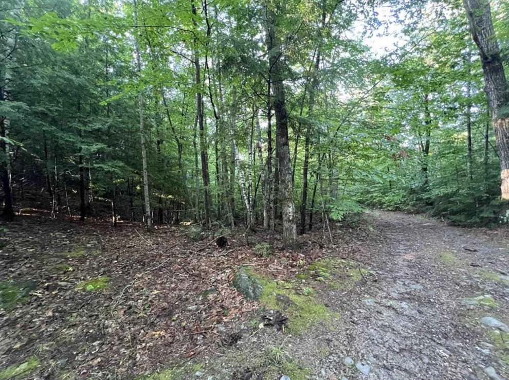 Unit for sale at Map 6, Lot 38 Chadwick Hill, Webster, NH 03303