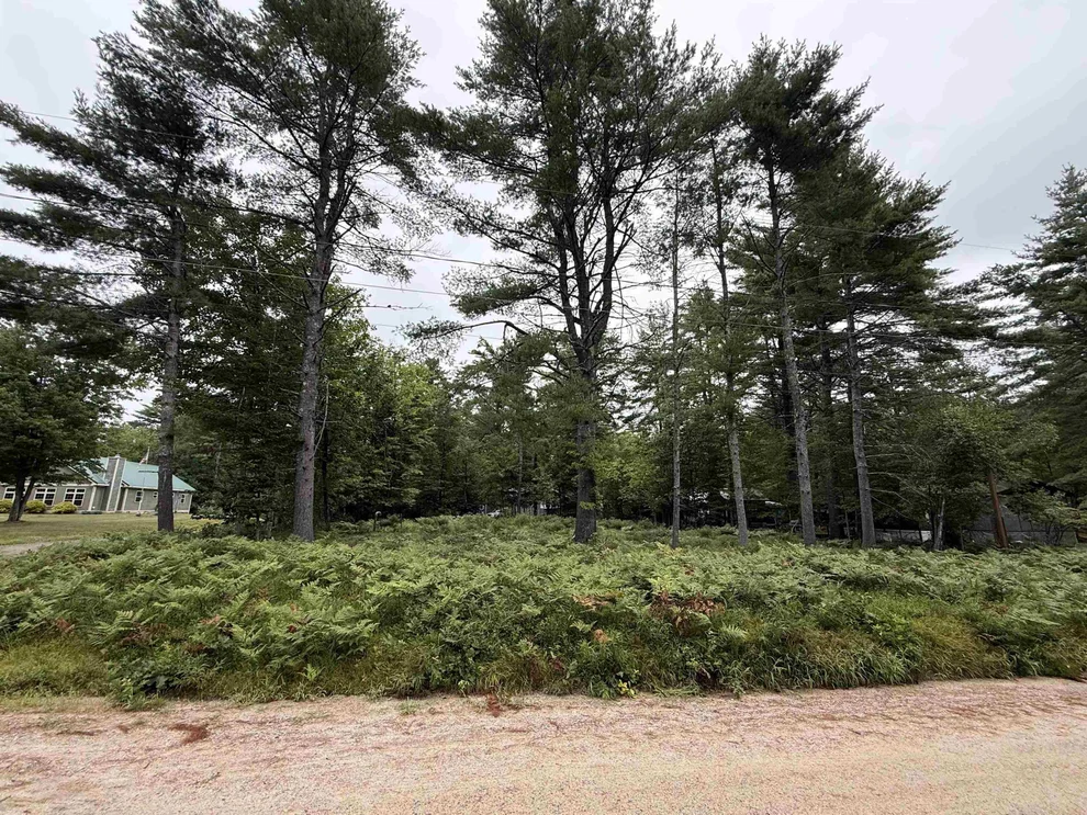 Unit for sale at 00 Birchwood Farm, Freedom, NH 03836