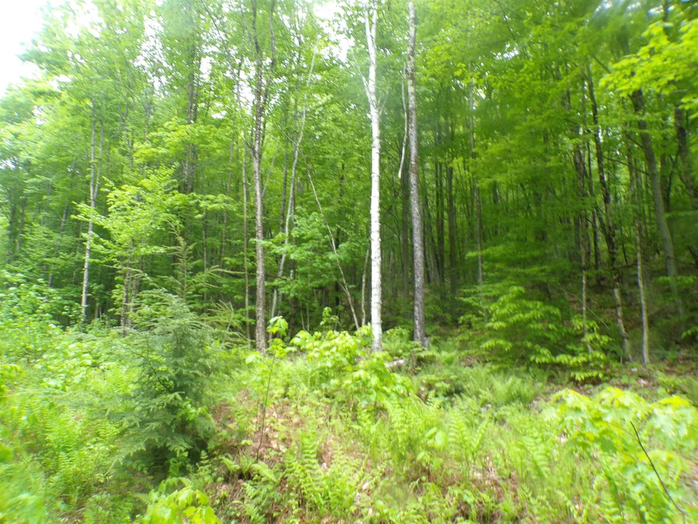 Unit for sale at 0 Foliage, Westmore, VT 05822