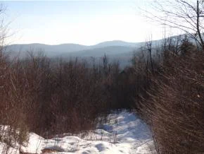 Unit for sale at 335 ac OFF Welton Falls, Alexandria, NH 03222
