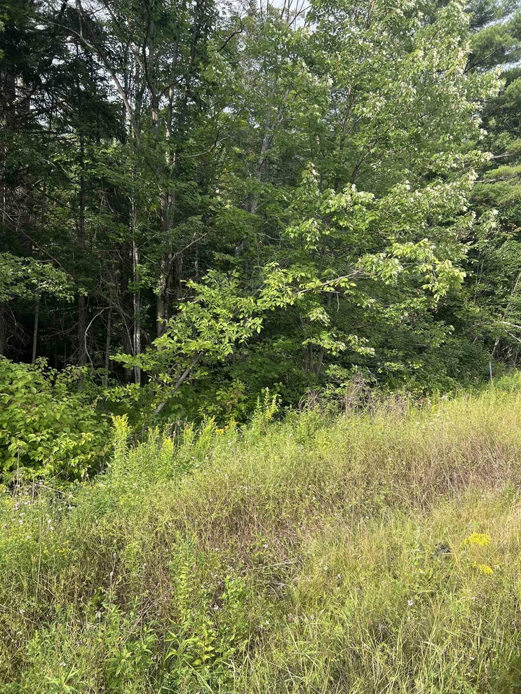 Unit for sale at 0 NH Route 4, Canaan, NH 03741