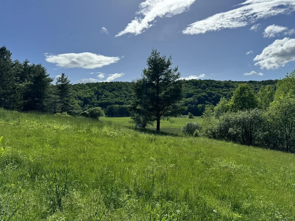 Unit for sale at 0 Happy Haven, Wilmington, VT 05363
