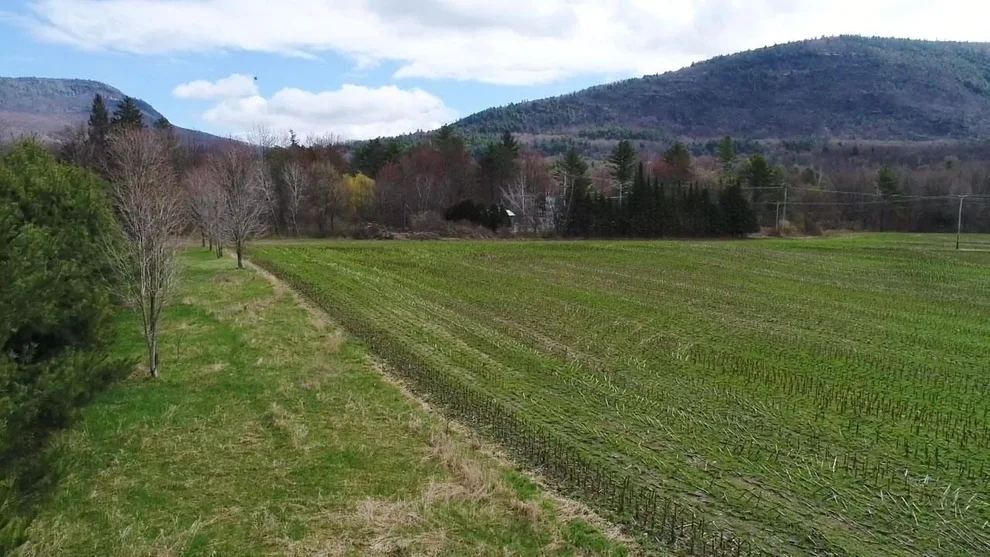 Unit for sale at TBD Hewitt, Bristol, VT 05443