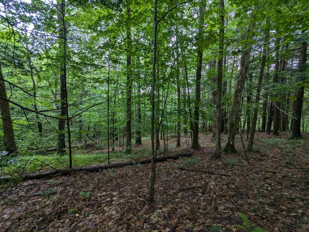 Unit for sale at 0 Dover, Newfane, VT 05351