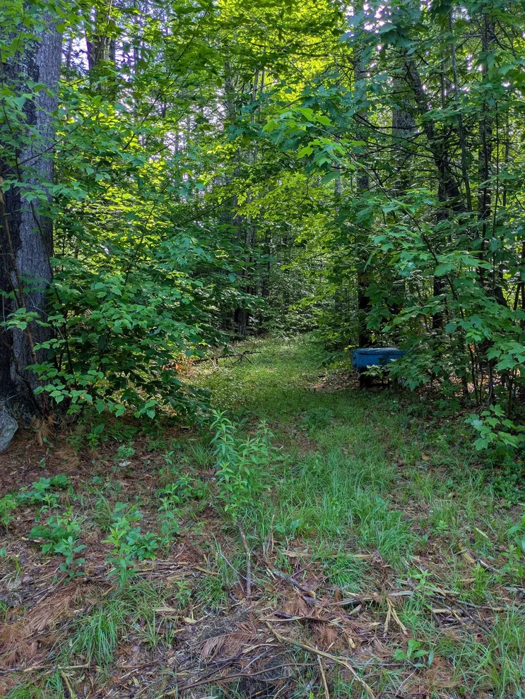 Unit for sale at 128 Brock Hill, Grafton, NH 03240