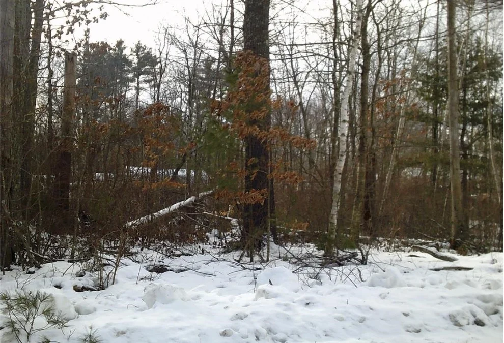 Unit for sale at 8 Mark, Derry, NH 03038