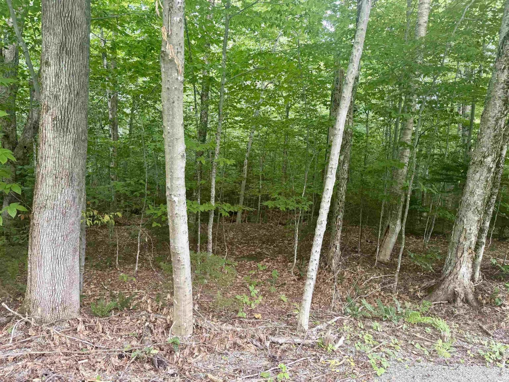 Unit for sale at 17 Nina, Dover, VT 05356