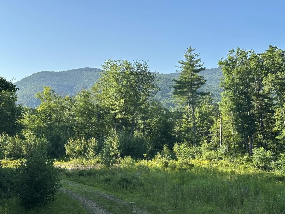 Unit for sale at 00 Bryant Heights, Tamworth, NH 03886