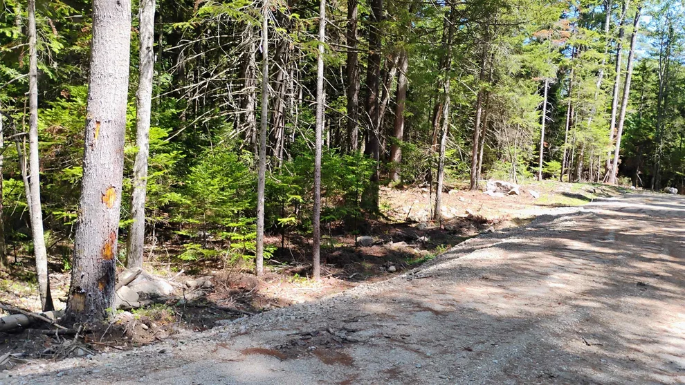 Unit for sale at Lot 2 NH Route 4A, Grafton, NH 03240