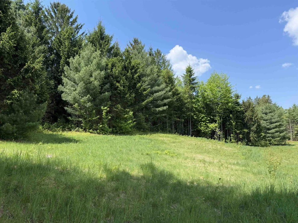 Unit for sale at 21 Dinky, Morristown, VT 05661