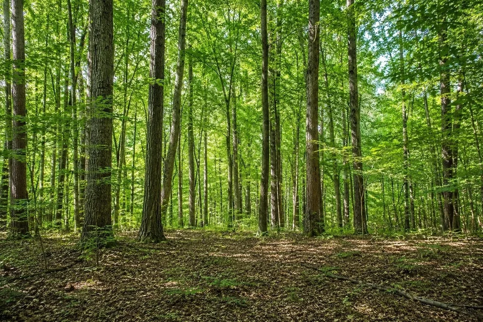 Unit for sale at map 270 lot 28 glass, Barrington, NH 03825