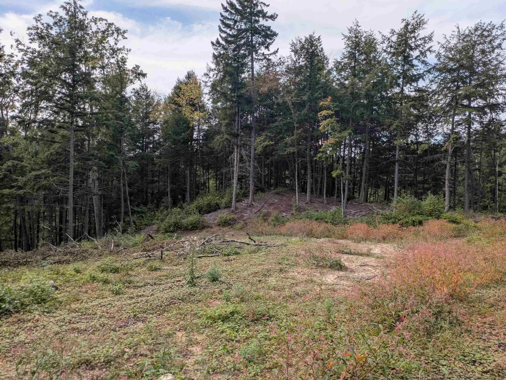 Unit for sale at Gilsum, Sullivan, NH 03445