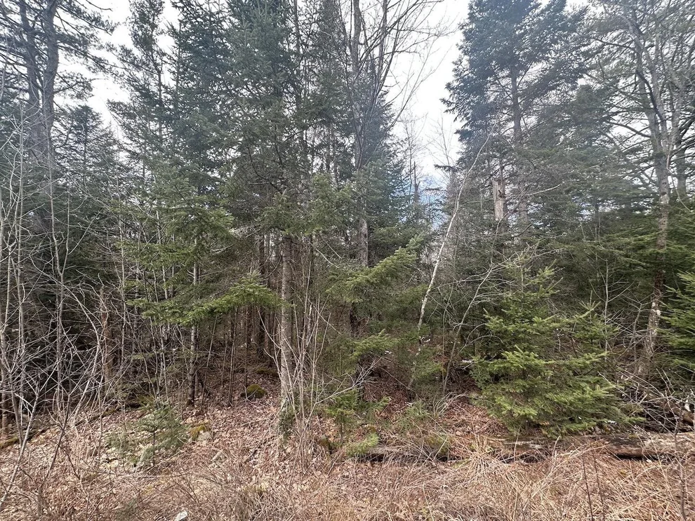 Unit for sale at 0 North Littleton, Littleton, NH 03561