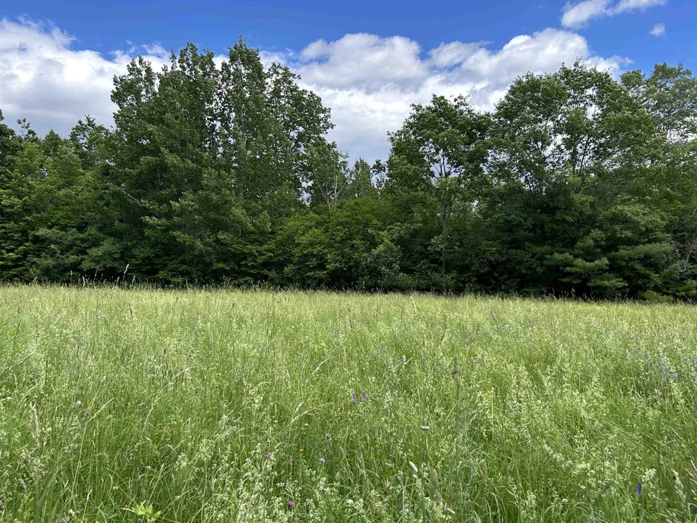 Unit for sale at 4 Cutler, Plainfield, NH 03781