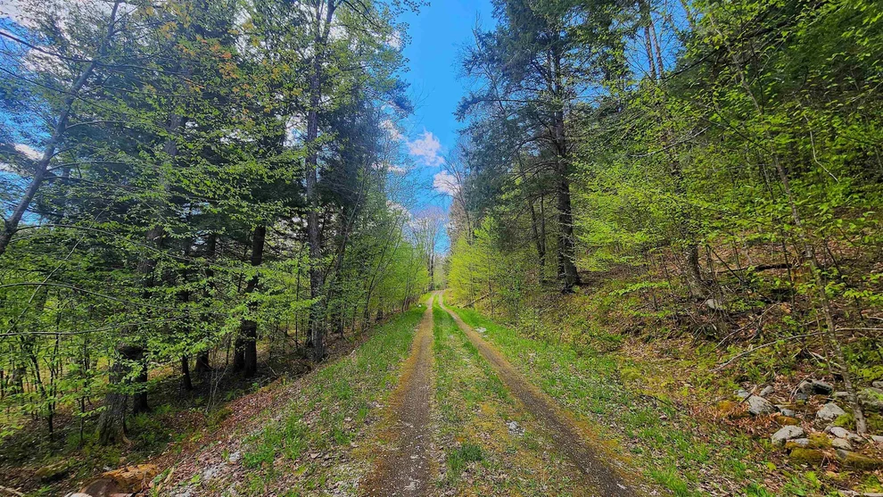 Unit for sale at 0 Linden, Chester, VT 05143