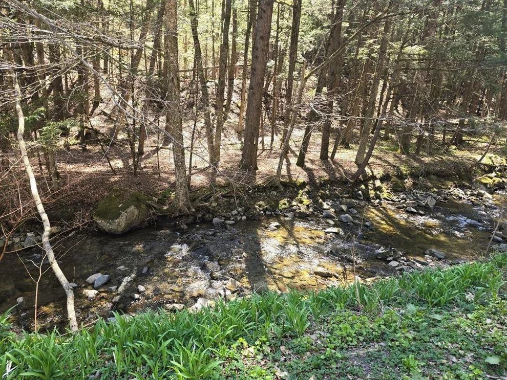 Unit for sale at 262 Seavers Brook, Springfield, VT 05156