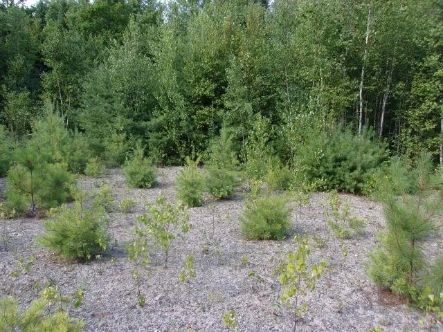 Unit for sale at Fenn Way, Bath, NH 03740