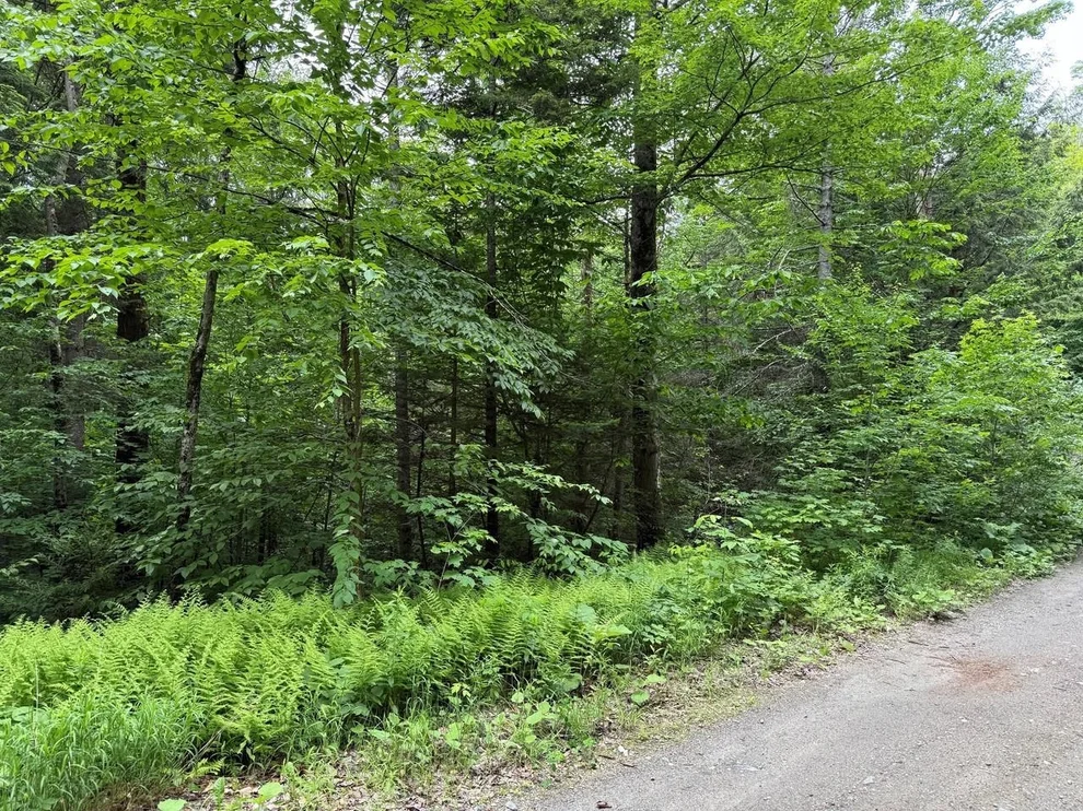 Unit for sale at 219 Woodbury Mountain, Calais, VT 05648