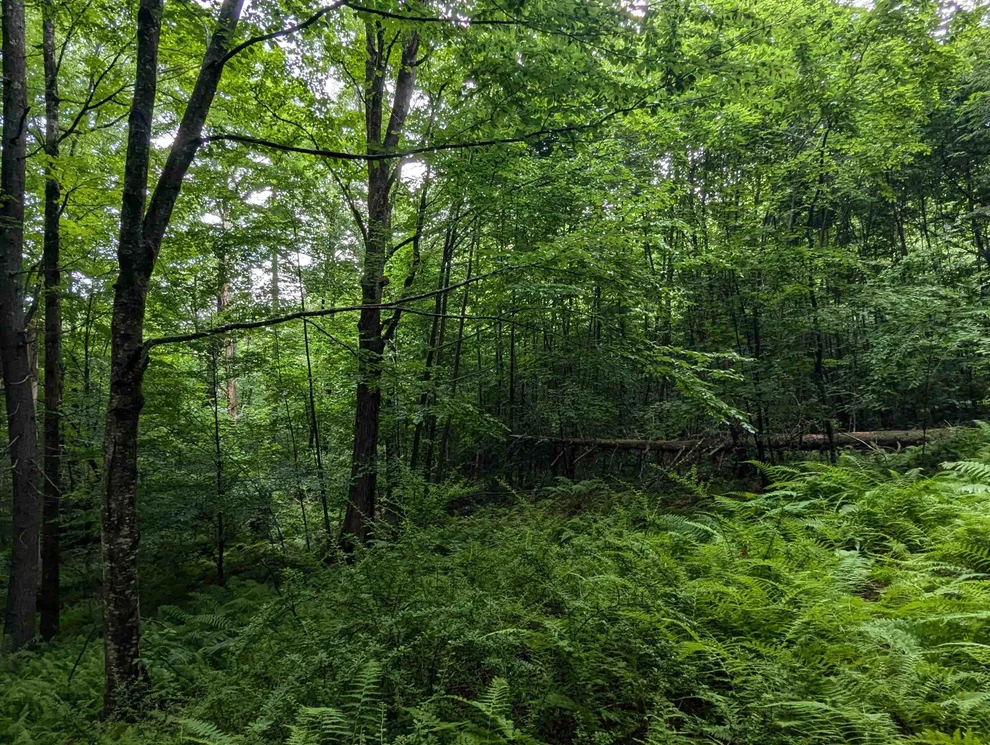 Unit for sale at 0 Dover, Newfane, VT 05351