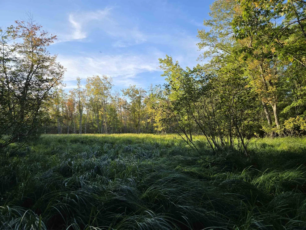 Unit for sale at Nute, Madbury, NH 03023
