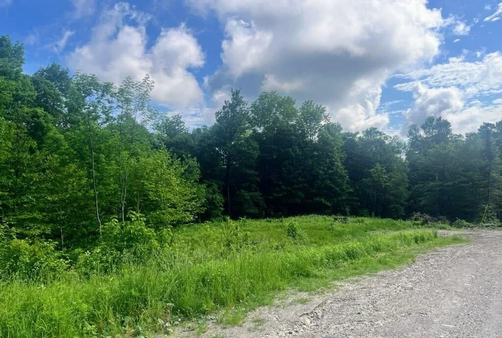 Unit for sale at 41 Moose Hollow, Winhall, VT 05340