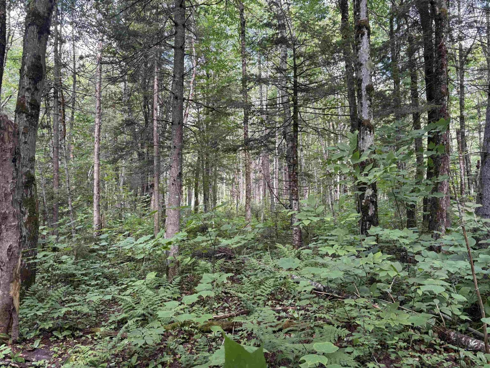 Unit for sale at 0 Newark, Brighton, VT 05846