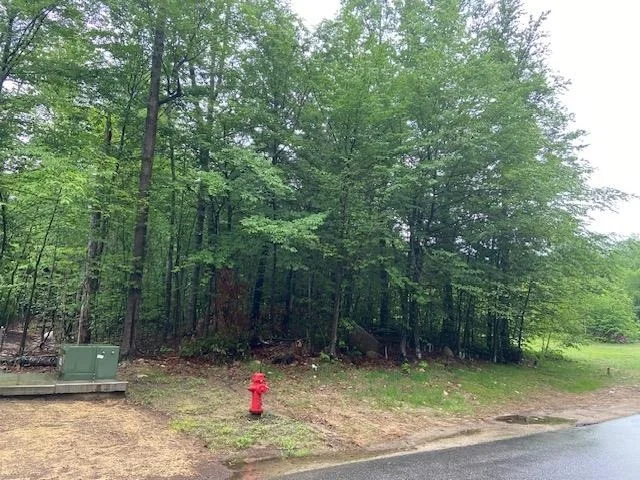 Unit for sale at 65 South Peak, Lincoln, NH 03251
