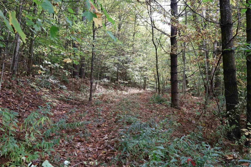 Unit for sale at 0 Christian, Hartford, VT 05001