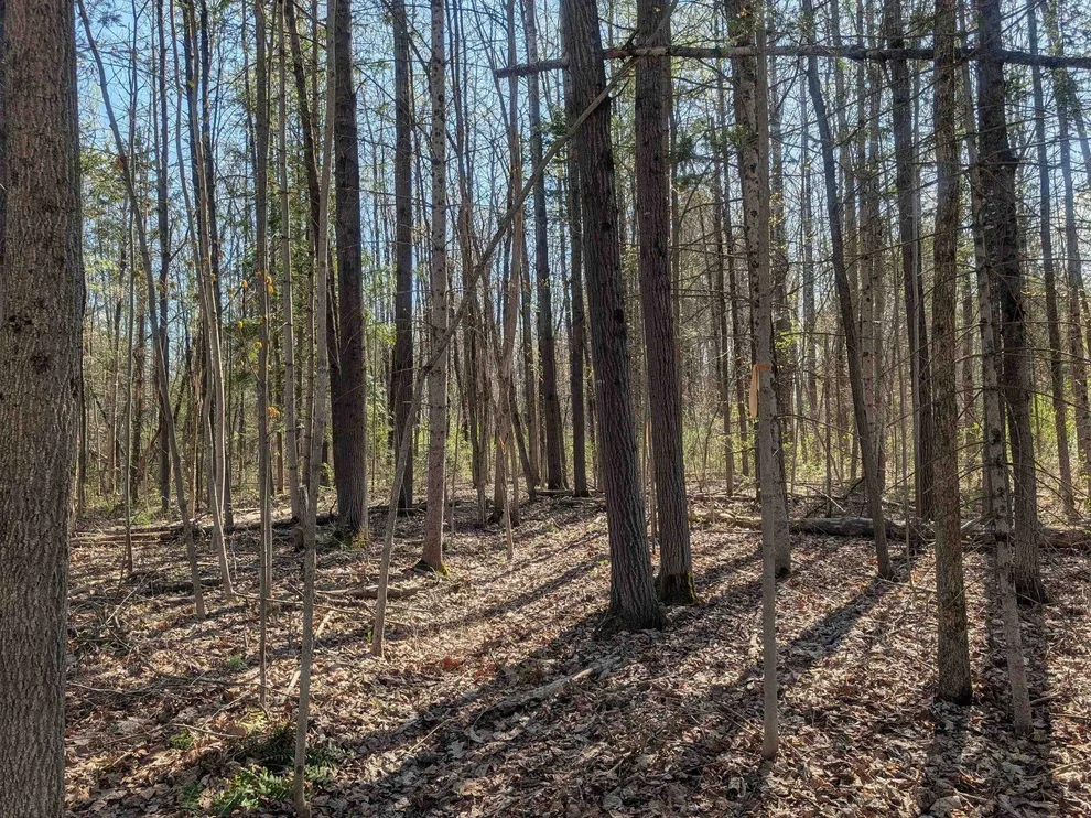 Unit for sale at Charlestown, Claremont, NH 03743