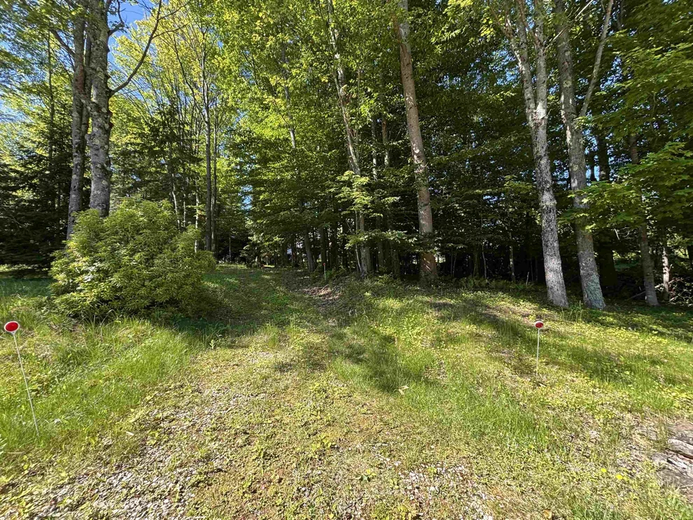 Unit for sale at 00 Terrace, Franklin, NH 03235