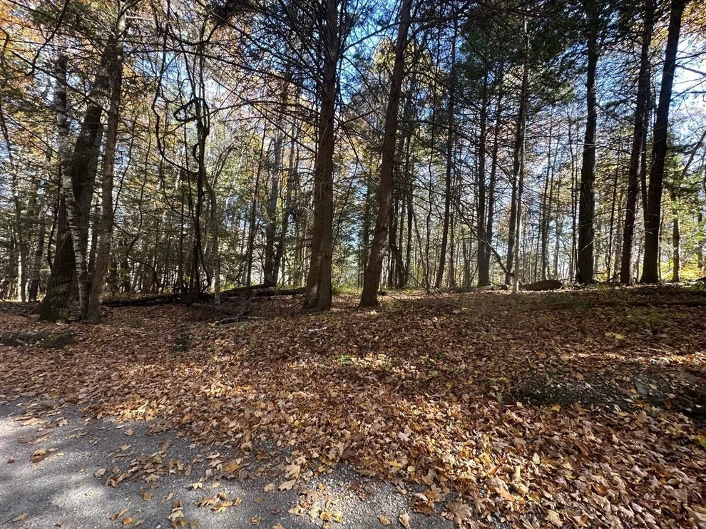 Unit for sale at 184 Dupre, Guilford, VT 05301