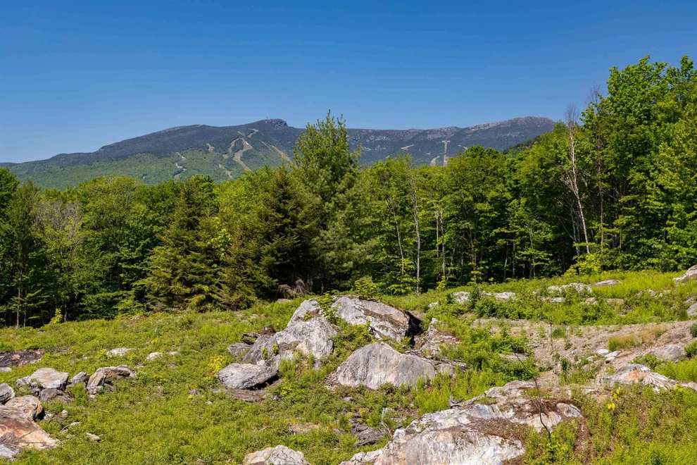 Unit for sale at 0 Wade Pasture, Stowe, VT 05672