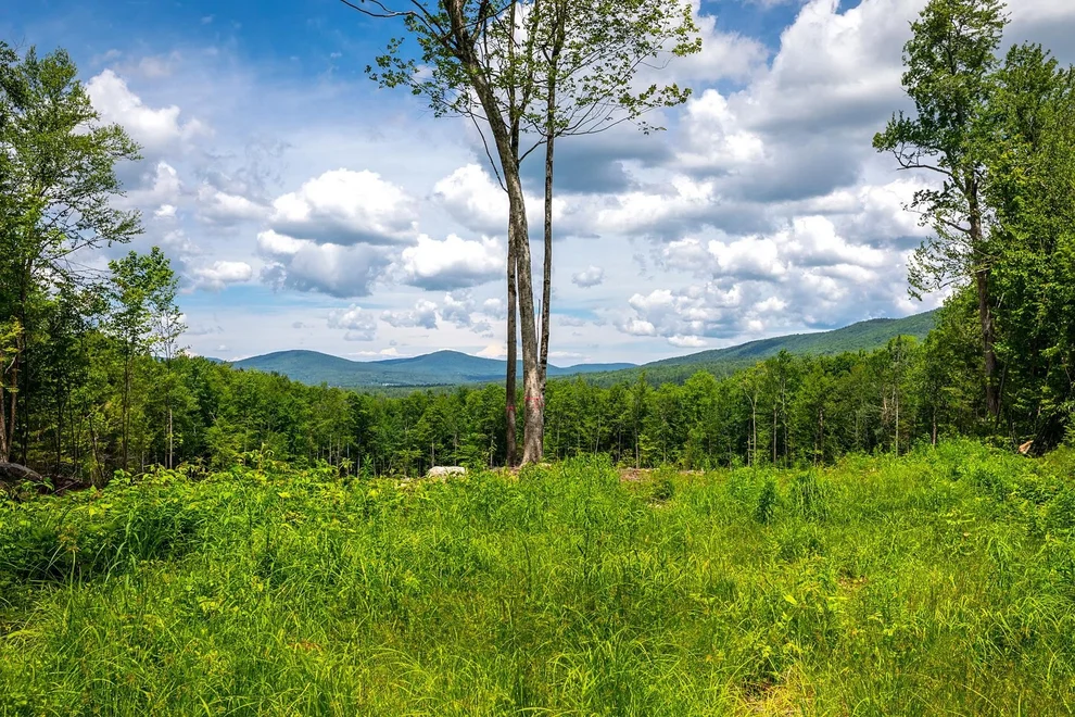 Unit for sale at 00 Little Pond, Andover, VT 05143