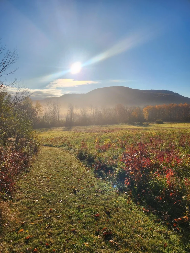 Unit for sale at 5195 Route 22 A, Addison, VT 05491