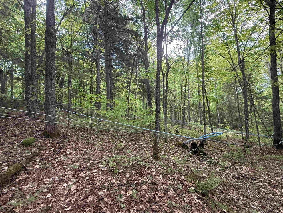 Unit for sale at 00 Fuller, Newbury, VT 05051