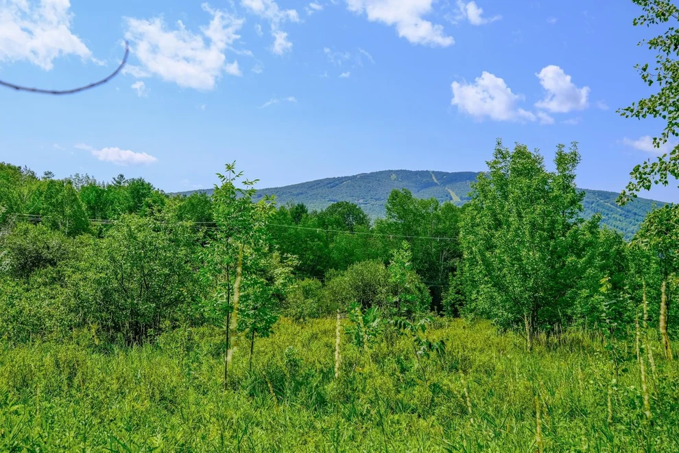 Unit for sale at 00 Town Farm, Ludlow, VT 05149