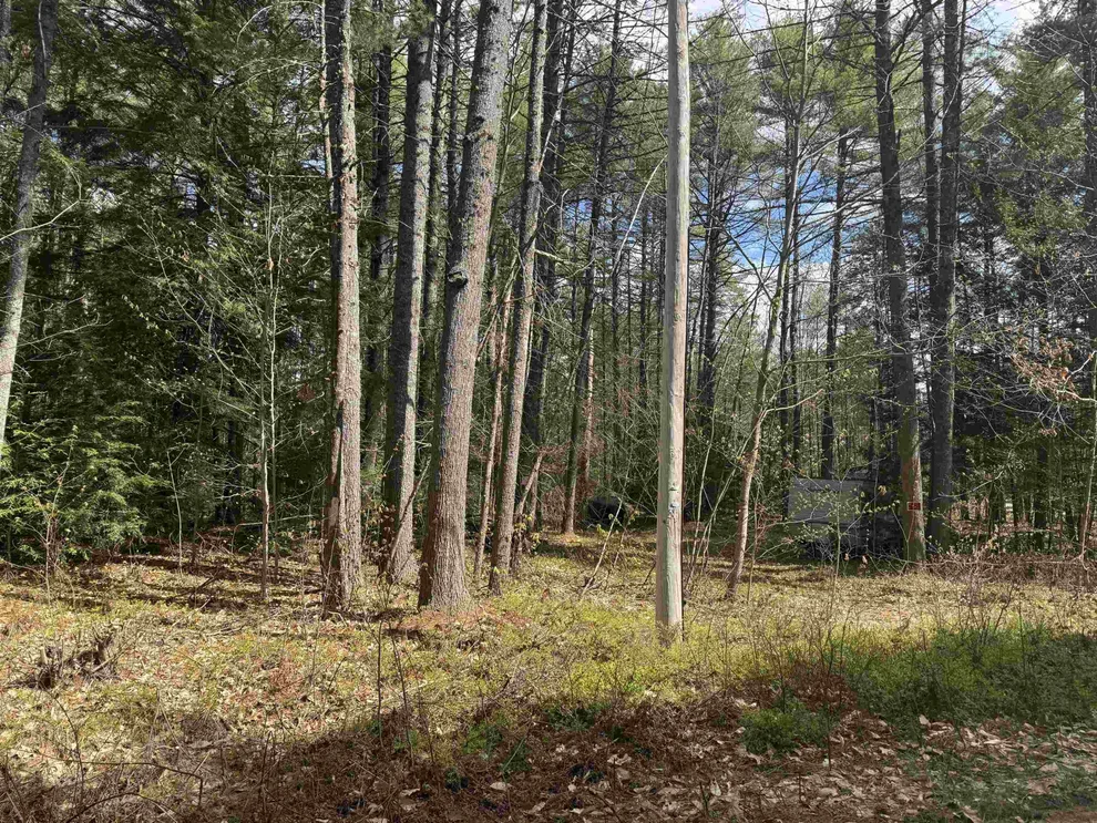 Unit for sale at 0 Riverwood, Effingham, NH 03882
