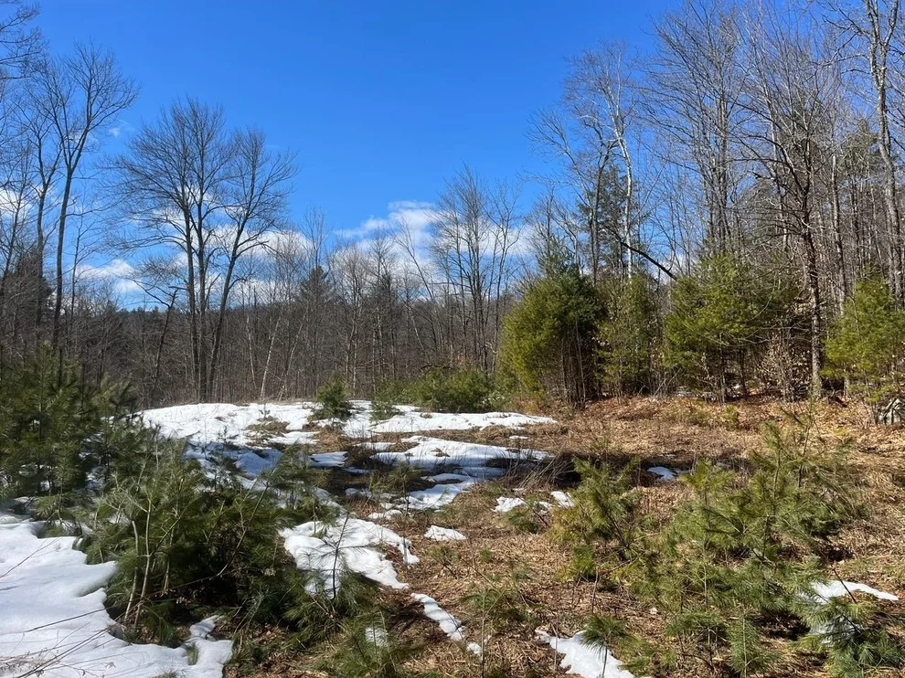 Unit for sale at 00 Pratt Bridge, Jamaica, VT 05143