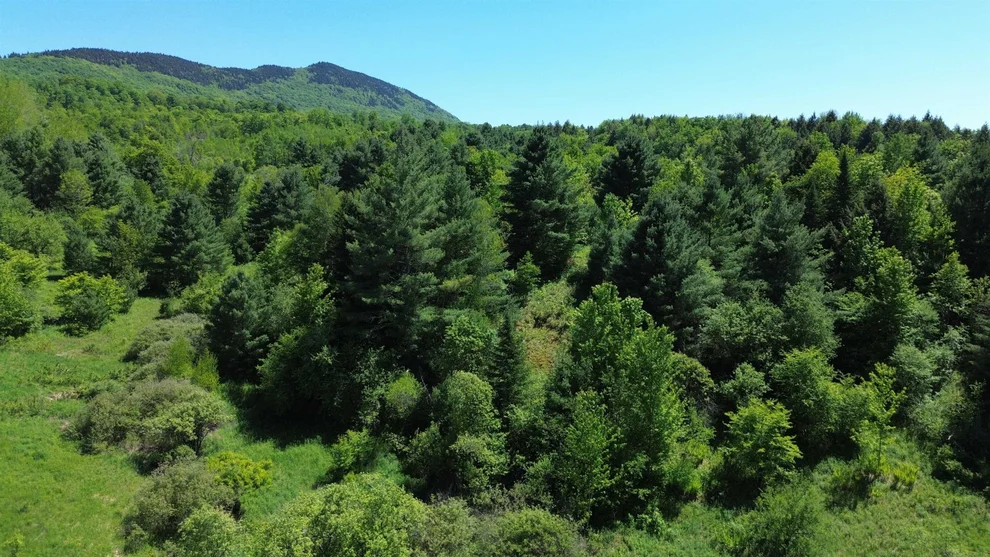 Unit for sale at Lot 0 Darling, Morristown, VT 05661