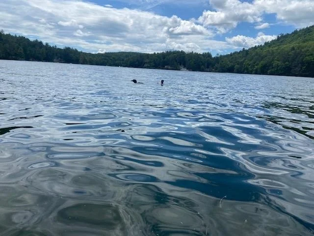 Unit for sale at 70 Barderry, Nottingham, NH 03290