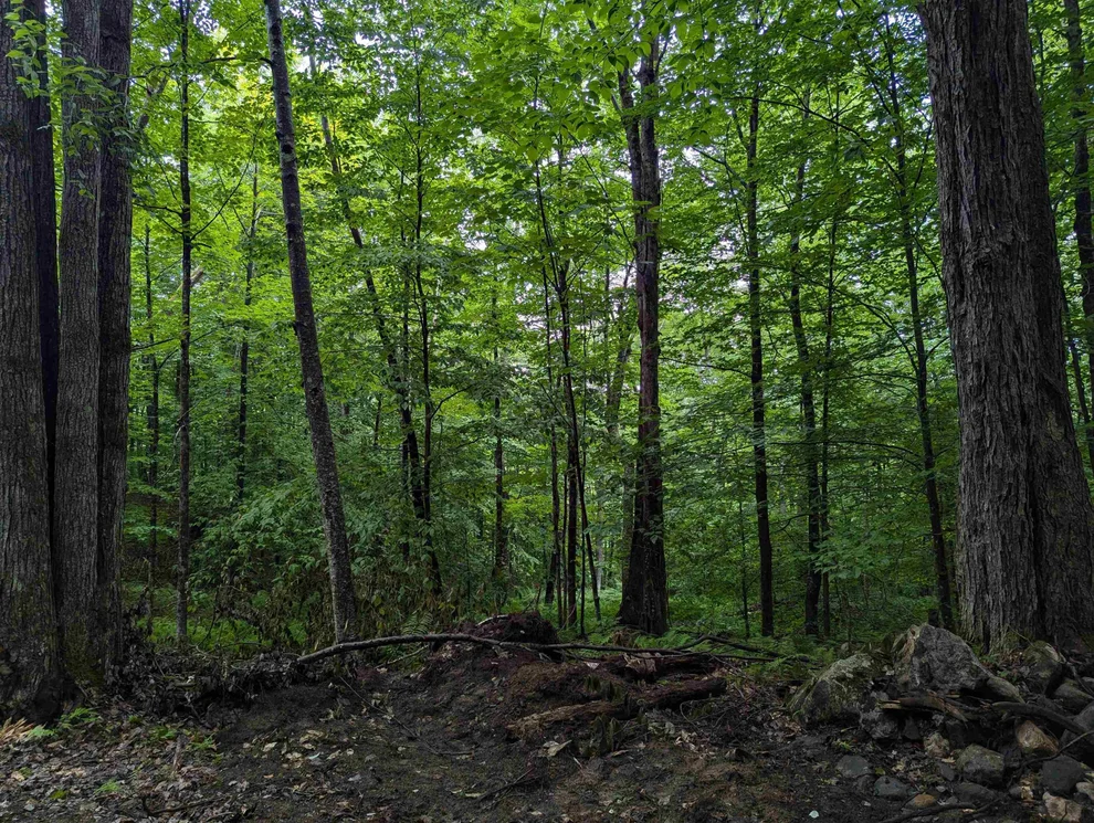 Unit for sale at 0 Dover, Newfane, VT 05351