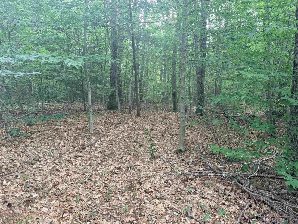 Unit for sale at 402 Baptist Hill, Canterbury, NH 03224