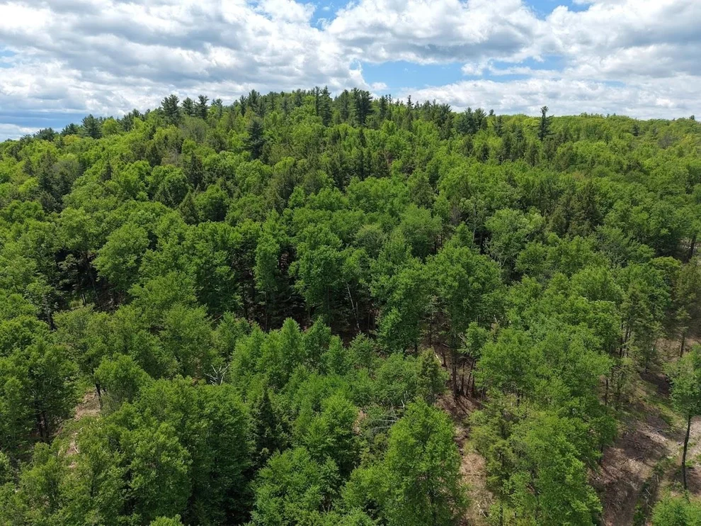 Unit for sale at Hurricane, Westmoreland, NH 03467