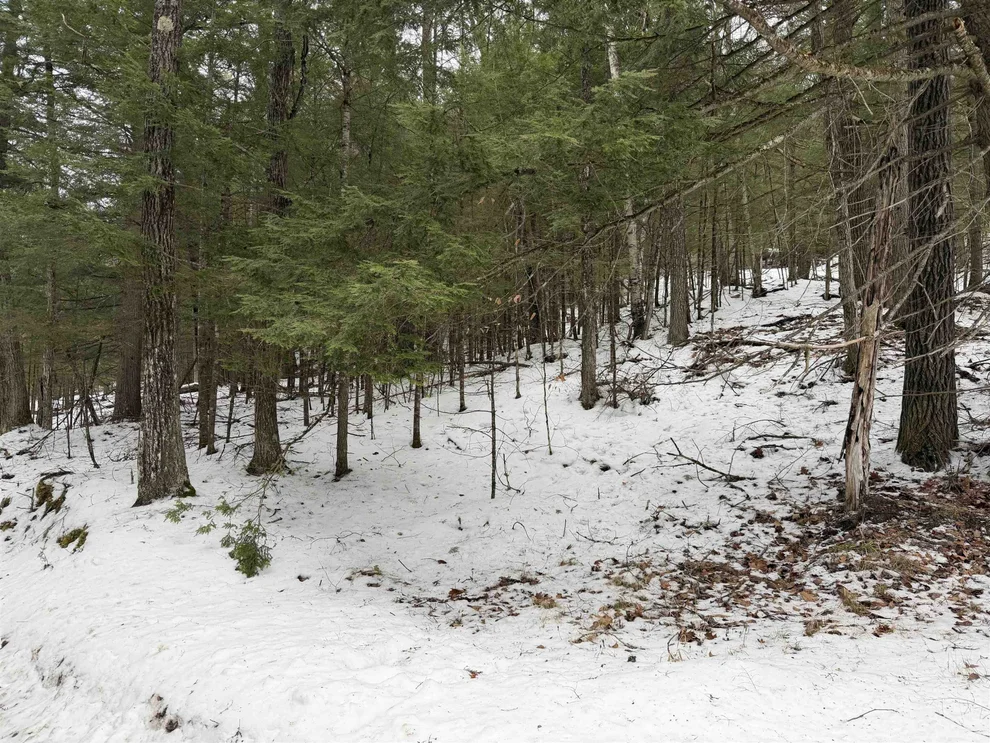 Unit for sale at 00 Wetherbee, Lyman, NH 03585