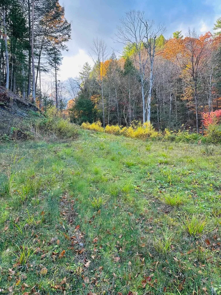 Unit for sale at 0 Missing Link, Springfield, VT 05156