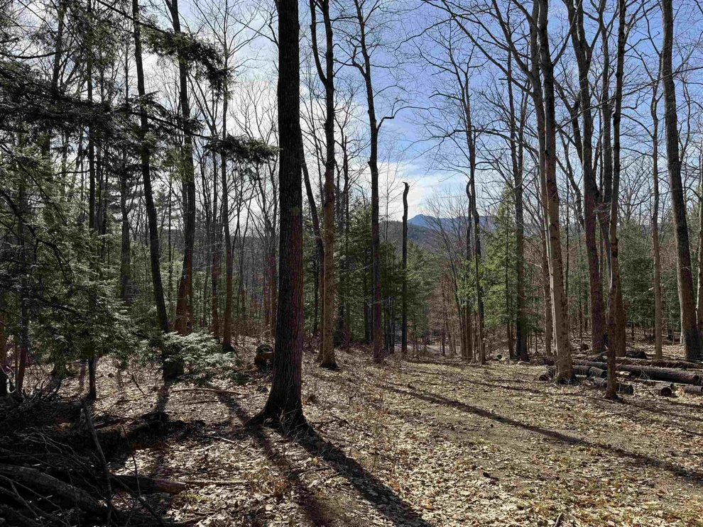 Unit for sale at 00 Conway, Madison, NH 03849