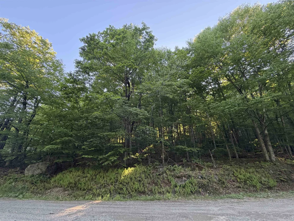 Unit for sale at Scattered Timber, Wilmington, VT 05363