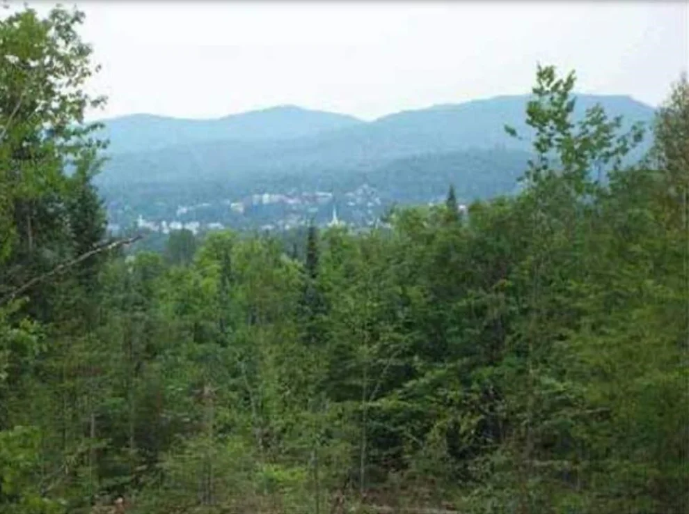 Unit for sale at Old Franconia, Bethlehem, NH 03574